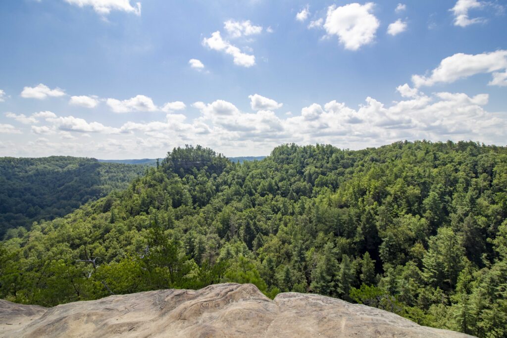 Exploring Daniel Boone National Forest in Kentucky - Sarah Loves the ...